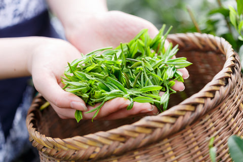 12 Natural Ingredients Your Hair Needs